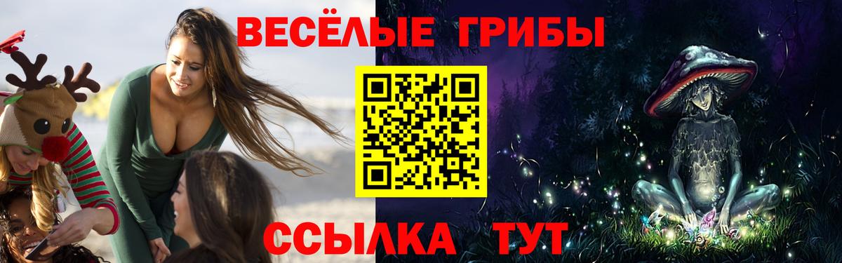 Галлюциногенные грибы Cubensis  Вход с VPN  Обнинск  Галлюциногенные грибы Cubensis 